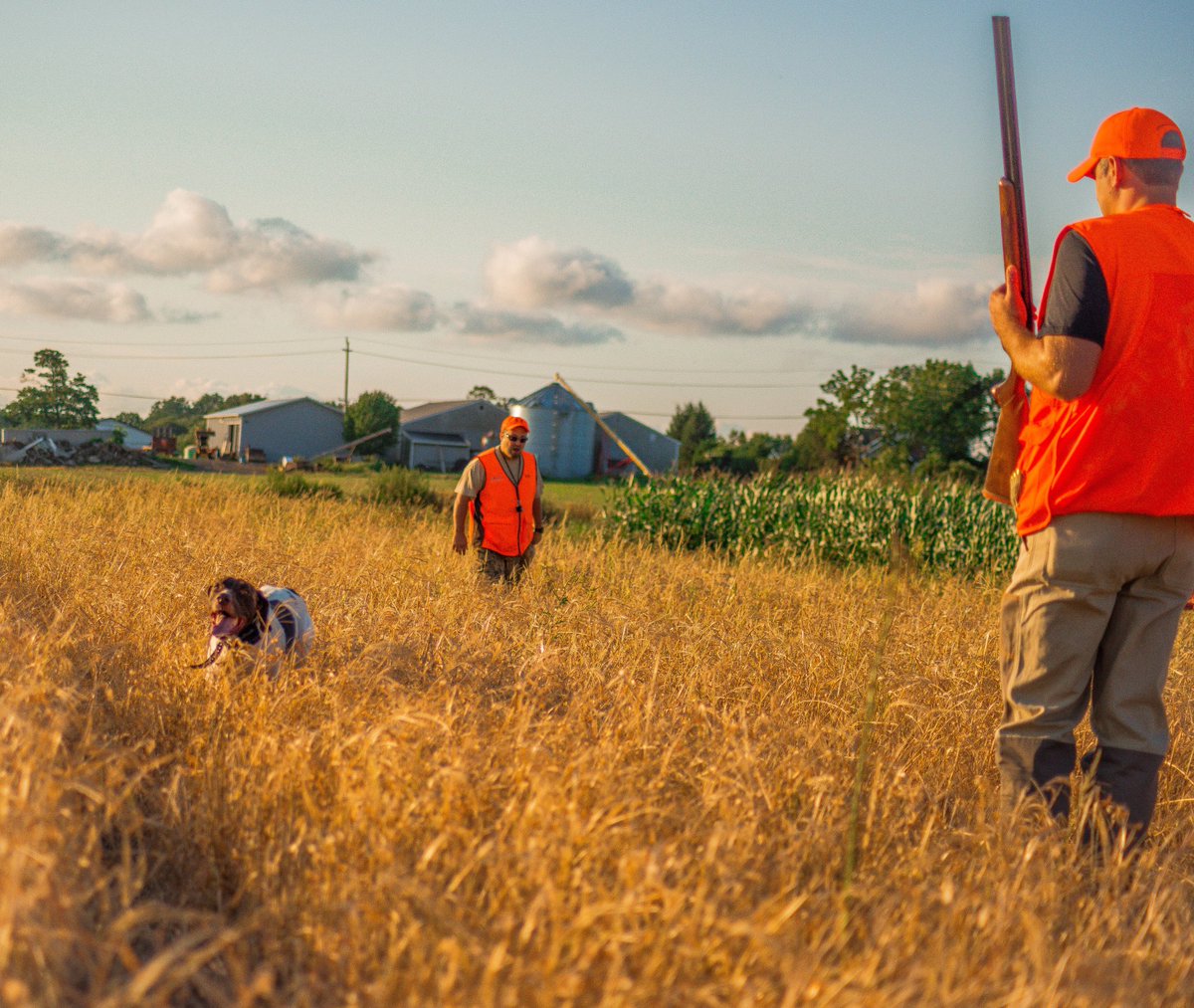 Saturday's Are Spent Better Afield Few 📸Captures From Past Upland Season With: <a href="/eliteoutfitter/">Elite LI Outfitter™️</a> 
Long Island, NY <a href="/UAHUNT/">MX7OW</a> <a href="/garminfishhunt/">Garmin Fish & Hunt</a>