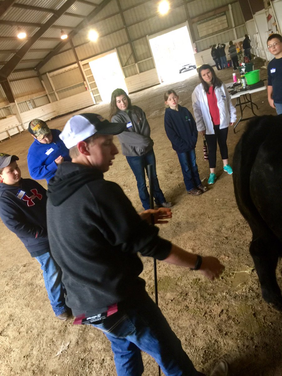 MiddWestFFA's tweet photo. Livestock Showman Clinic today with 30 current and future beef dairy sheep rabbit and goat exhibitors! #TeachAg https://t.co/HD2mwDoiNh
