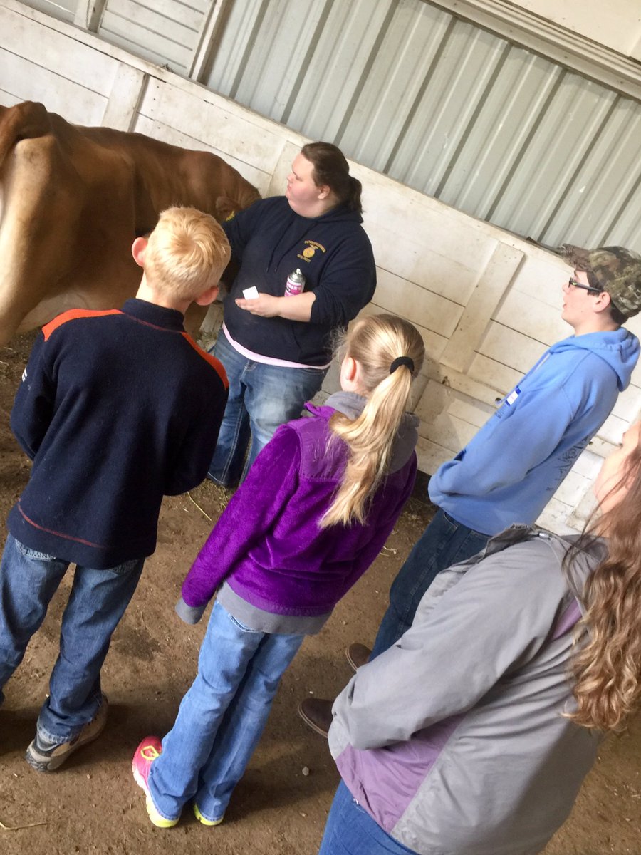 MiddWestFFA's tweet photo. Livestock Showman Clinic today with 30 current and future beef dairy sheep rabbit and goat exhibitors! #TeachAg https://t.co/HD2mwDoiNh