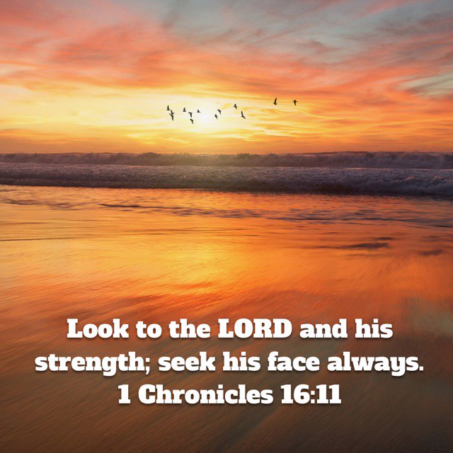 Happy Saturday Eagles! Look to the Lord... Get time in His Word today! #WeAreSCA  bible.com/111/1ch.16.11.…