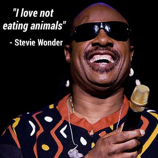 \"I love not eating animals.\"

Happy Birthday, Stevie Wonder! 