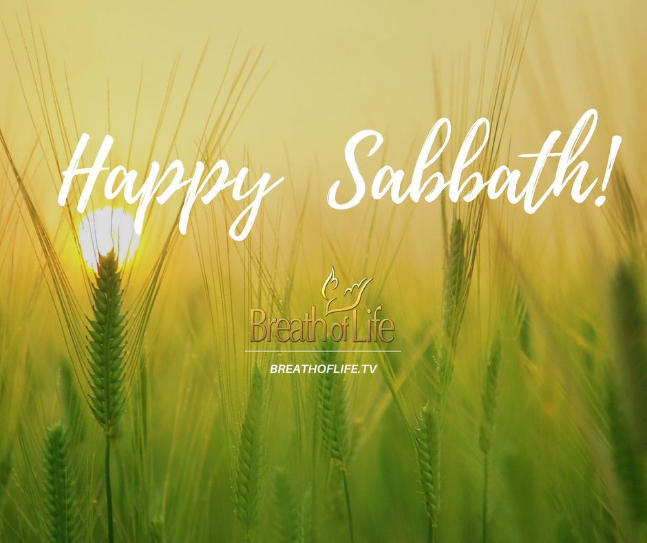 Breath Of Life Tv Have A Blessed Sabbath Day From Breath Of Life Television Ministries Sabbath Blessed Sda Nad Christian T Co Fmqpfjeota T Co Pqssxskp78