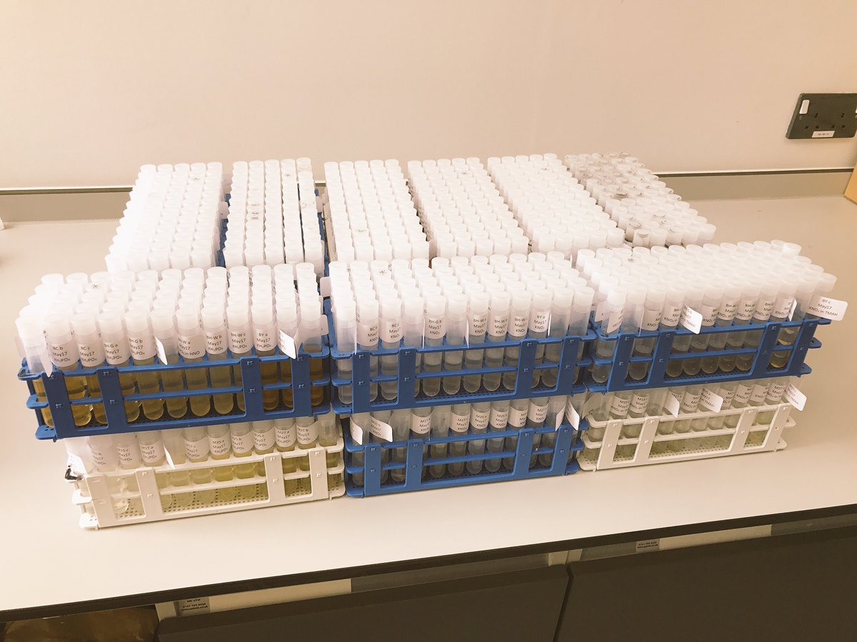 heatherksanders's tweet photo. It's been a mad week! Final soil extrations 2.5 years after spiking ✅ @NERCscience @RATEsct @radioecology #Soilscience #RATE #TREE https://t.co/ht5IYoDz0w