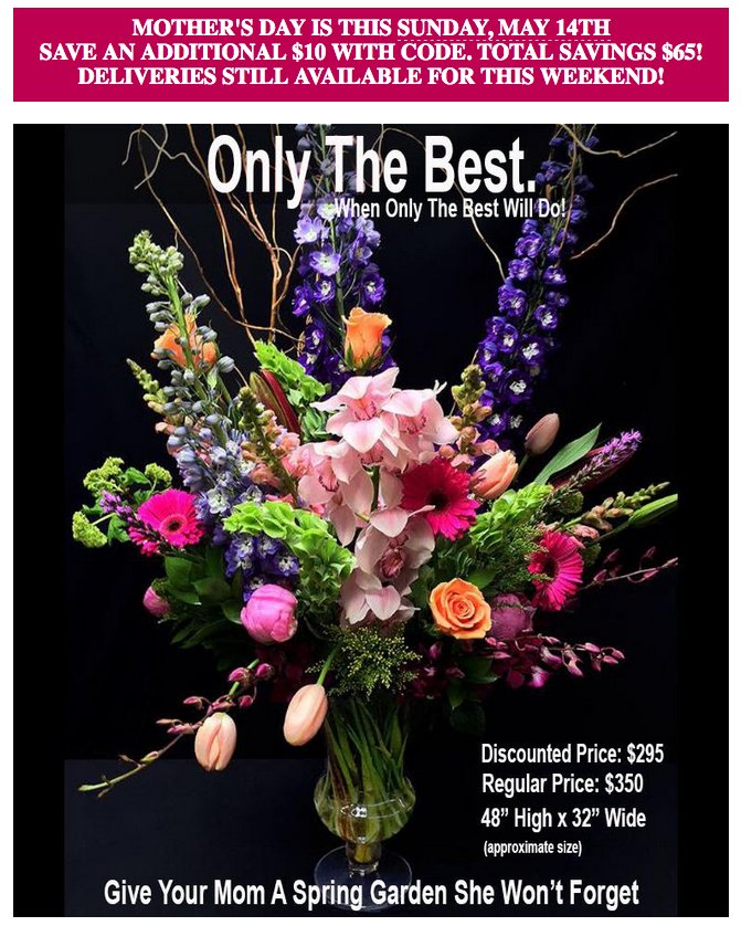 La Jolla Blue Book On Twitter It S Not Too Late To Treat Mom With Flowers From Adelaide S La Jolla Learn More Https T Co Zoch50ub0e Mothersday Adelaides Lajolla Https T Co Vllyh3vigi