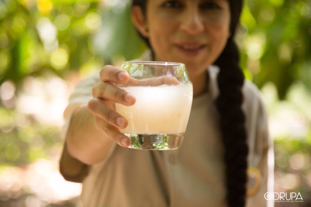 Ya está lista el agua de mucílago para mitigar el calor, en Tabasco los estamos esperando! #drupafan
