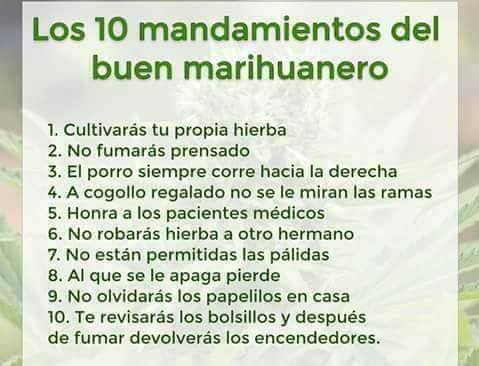 ibaweed's tweet photo. Por favor tengan muy en cuenta la # 10. Palabra de Dios https://t.co/yhs0S0MbU3