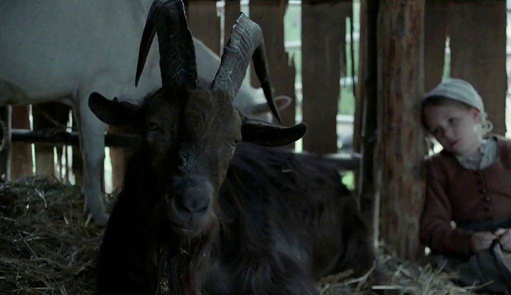 OnePerfectShot's tweet photo. THE WITCH (2015) DP: Jarin Blaschke | Dir: Robert Eggers https://t.co/190K48xxaQ