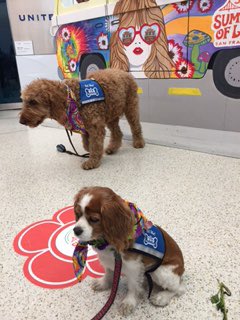 JWolfeUAL's tweet photo. Summer of Love returns to SFO on it's 50th anniversary. #UAIFSbaseSFO #beingunited https://t.co/lR9qAQhCv1