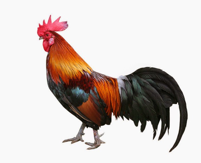 Resumen de la actuación de España  #EurovisionRTVE