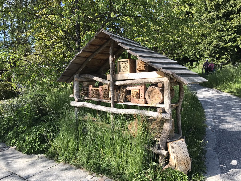 mainau's tweet photo. #Mainau #ScienceRallye: Das sind 5 Stationen, an denen es Hinweise zum Lösungswort gibt. Wer rätselt mit? #LNdW_KN https://t.co/Z10fnzSYhx
