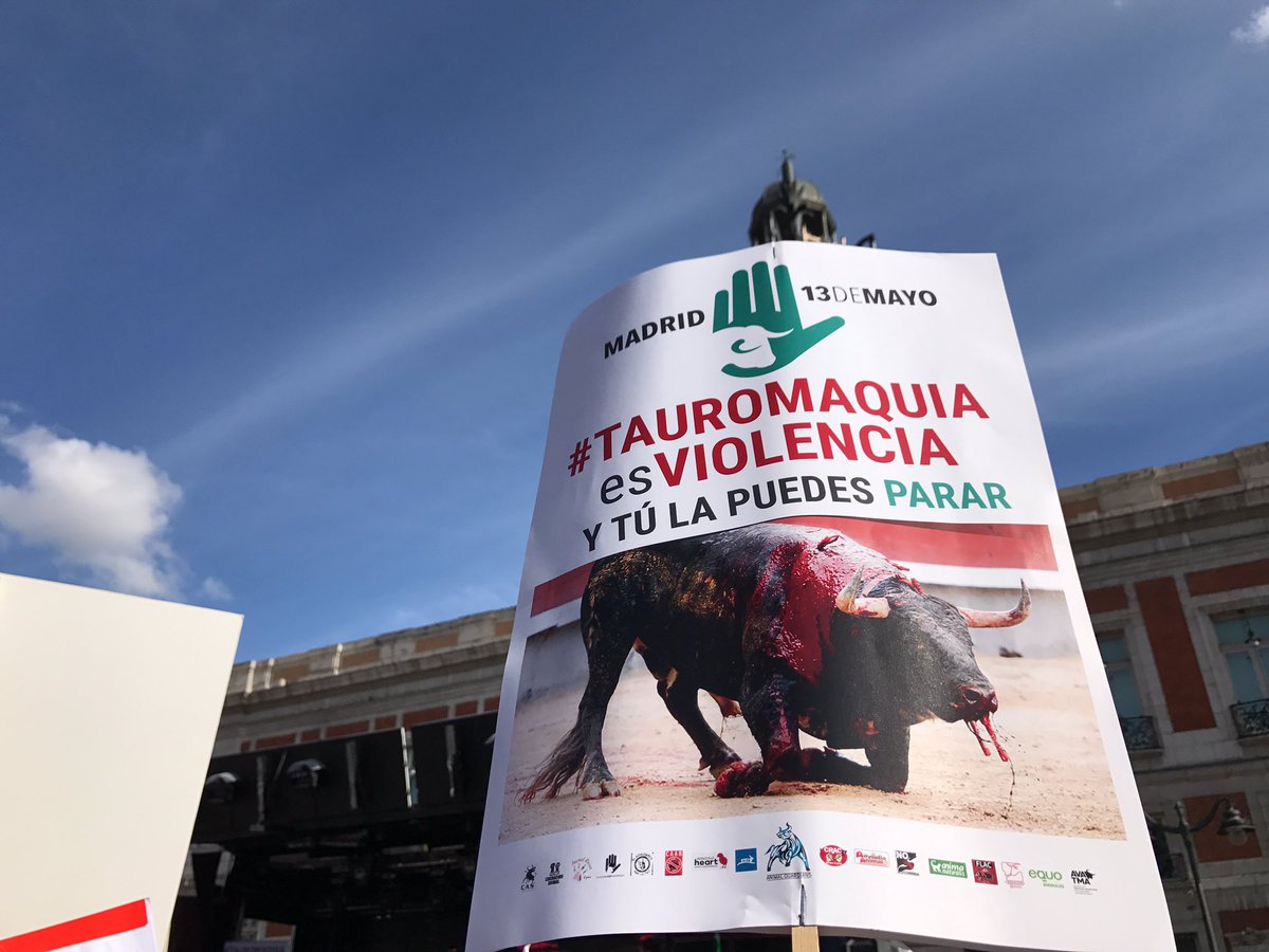VeronikaQuin's tweet photo. #TauromaquiaEsViolencia https://t.co/inRI9iee5H