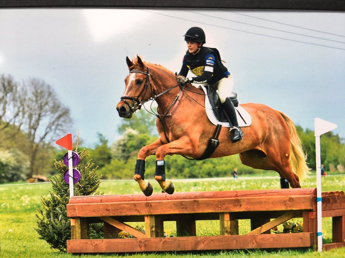 GrubsBoots's tweet image. Good day @Llanymynech @BlueChipFeed! 2nd outing &amp;amp; DC! Top 3! Well done! #grassroots #happypony! #comfort #grip #warm #waterproof #MYGRUBS