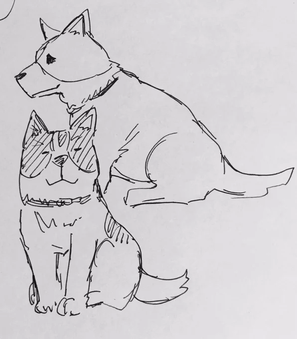 #愛犬の日 を眺めてたら昔飼ってた犬に会いたくなった。
素っ気なくツンデレな雑種で、かわいかったなぁ… 