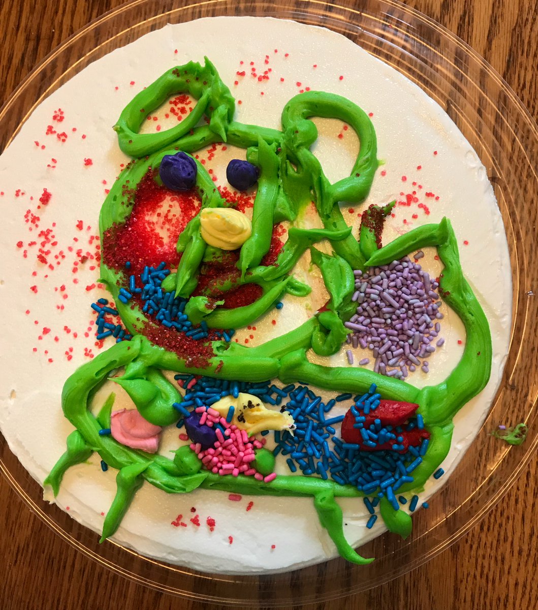 Emski722's tweet photo. Happy Mother's Day!!!!  I can't wait to enjoy my beautiful cheetah cake! https://t.co/IXqXKMAcRP