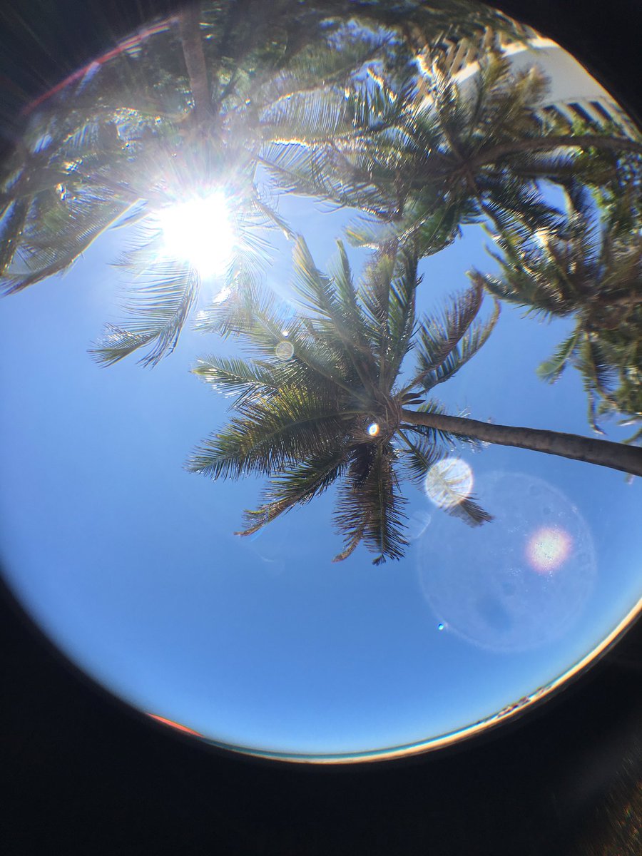 Marissa Sciacca tweet media