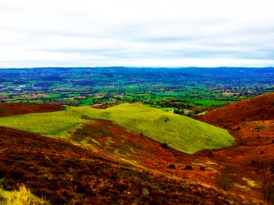 microadventure tweet media