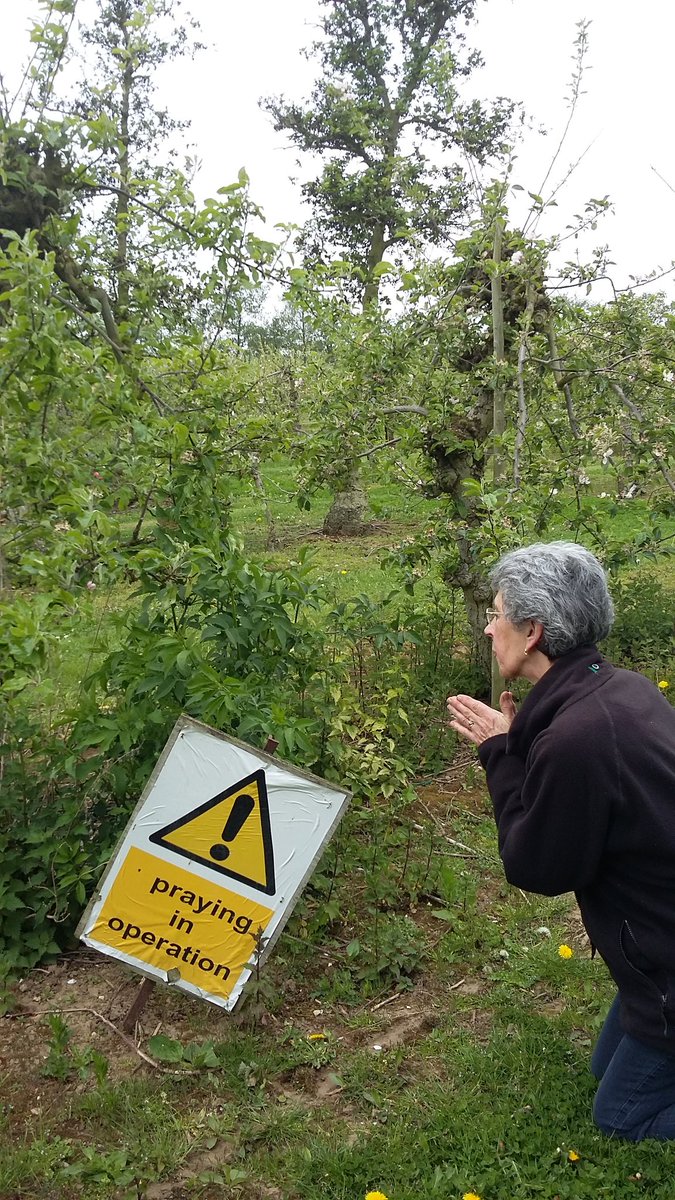 Walking in the orchard country in Suffolk we found a new approach to pest control.