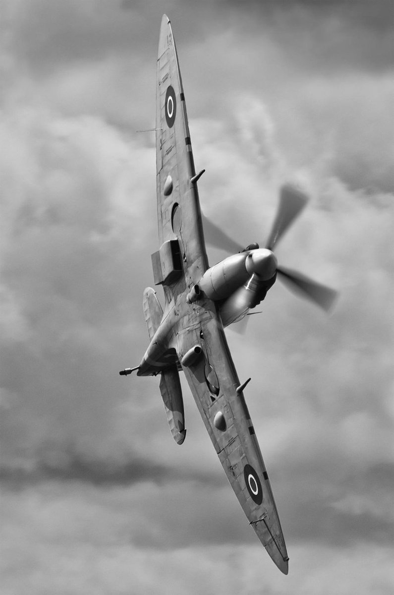 ron_eisele's tweet image. 