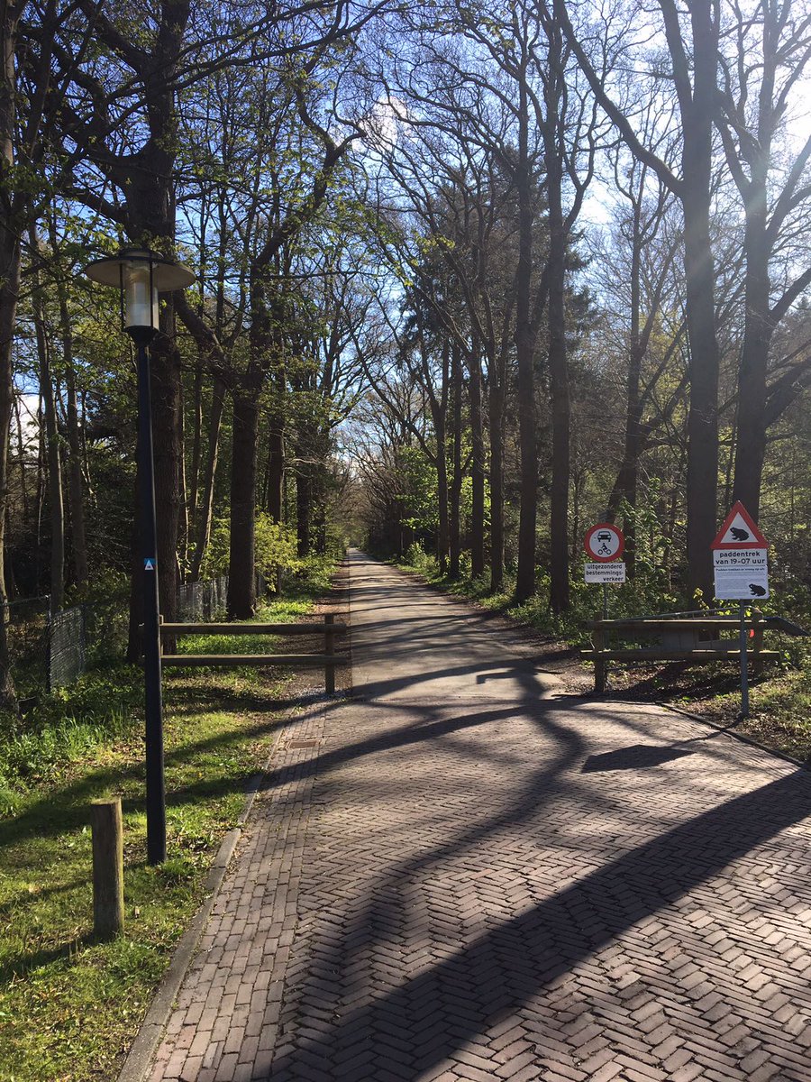 16dorpen's tweet photo. Voor vraag 5 zijn we al in het zicht van de haven, wie herkent dit mooie laantje?
Vergeet je niet in te schrijven op https://t.co/lJl1bvhSGb https://t.co/cv1uaI9juQ