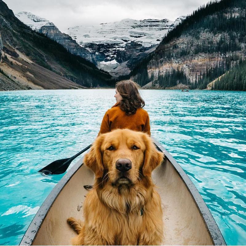 DanDolphin2's tweet photo. @fulla_studio @_71117_ @betto_elcapi26 @Dollhouse @Kvvvkvvk @fstarrk @_61116_ @Anny_______0es3 @MaryT79718239 @MGWV1OO @M71117M61116 @DanDolphin1 @LeillaLuna @sheeeeeeeerrry @gamer_fulla Hello my kind friend🐶🌊🌲
🐶@fulla_studio
🌲@Alicelovelb
🐶@LavorattoT
🌲@Leilla_V
🐶@_61116_
🌲@Naomi__Berger
🐶@SalvOasi

#Fabiola_71117_TEAM
#MGWV https://t.co/ZLejEsh9CU