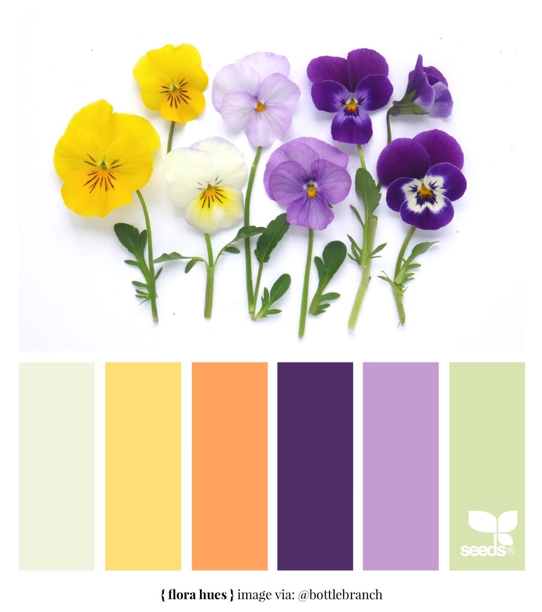 shayfrom_thebay's tweet image. Color Palette of The Day: Flora Hues #DesignSeeds #Color