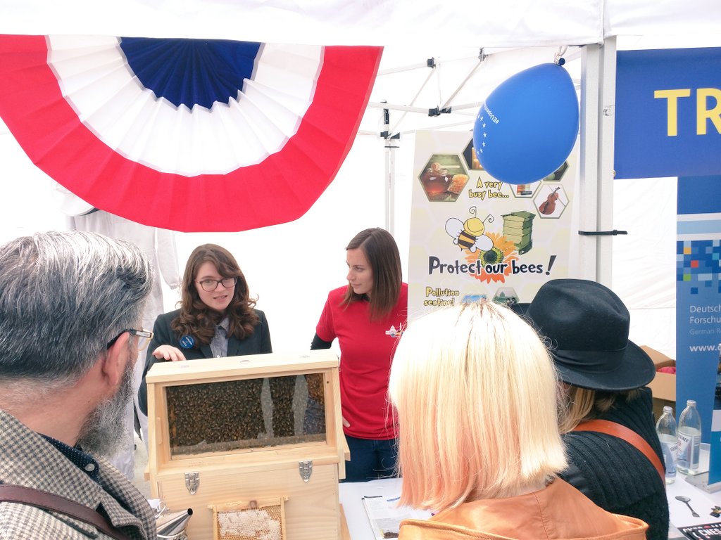 FranceScience's tweet photo. Come visit the #ParisBerlin #EUOpenHouse
Science booth to learn about transatlantic research &amp; student exchange, &amp; bees thks to @GWBuzz  ! https://t.co/xwhzdpE2Ng