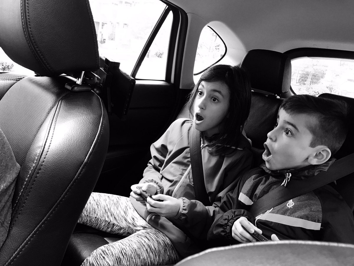 nintendo switch deluxe travel case biogenik