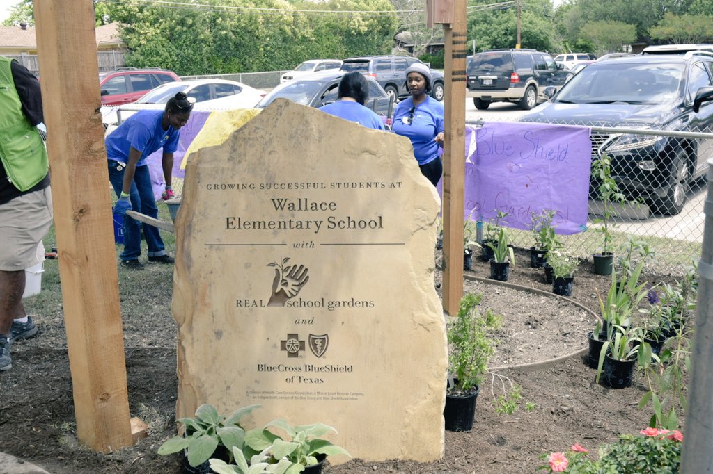 RichardsonISD's tweet photo. A lot of hard working & helping ๐ at #WallaceElementary ๐ฟThx 4 the support @BCBSTX @Real_Gardens #bettertogether https://t.co/2LxKyzJqna