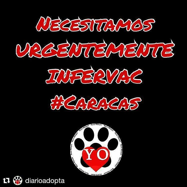 porla_pazanimal's tweet photo. #Repost @diarioadopta (@get_repost)
・・・
Requerimos con carácter de urgencia para una de las #CachorrasDA #INFERVAC… https://t.co/y0VlmvhSht https://t.co/D8hMkDbqI3