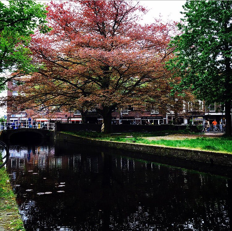 Teuta_Metra's tweet photo. Let's meet in #paradise! #lovetoknow #lovetotravel #Delft #Beautifulplace #Wounderful_Holland #inspiration #amwriting #amreading #amseeing https://t.co/RCFKghBiAp