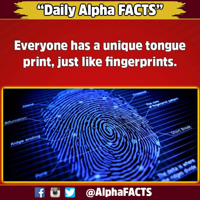 AlphaFacts's tweet photo. #cute #winter #look #modeling #style #accessories #classy #nails #nail #hair #hairstyle #instahair #makeup #cosmetic #alpha #funfacts https://t.co/zV5h3cMl5e