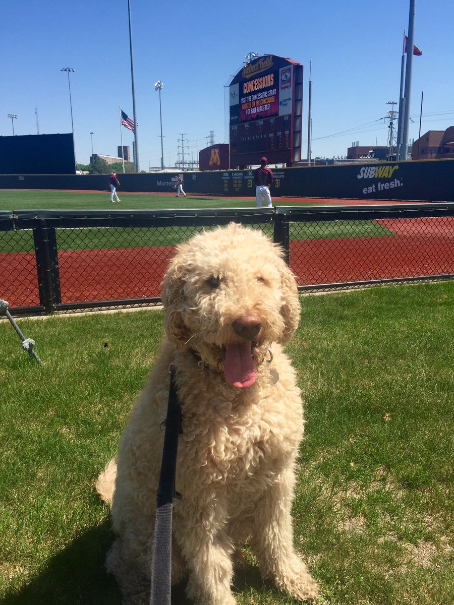 BaseballCrimson's tweet photo. @officialotis  in the house to cheer on @brett_schulze https://t.co/MmXbLDUFOQ