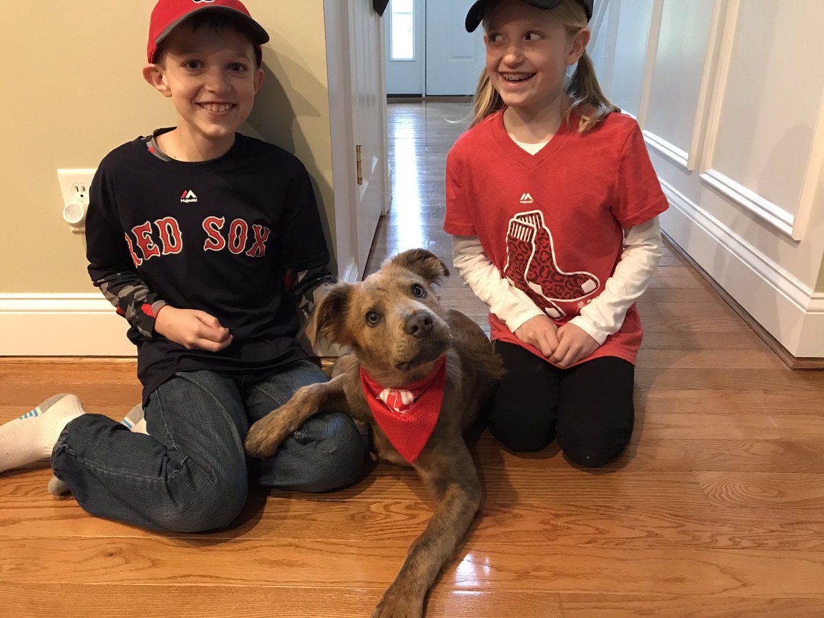memiaj's tweet photo. @RedSox Wrangler wanted to come to the game too #fenwaypark #RedSox #RedSoxNation https://t.co/62G2OJv1Kq