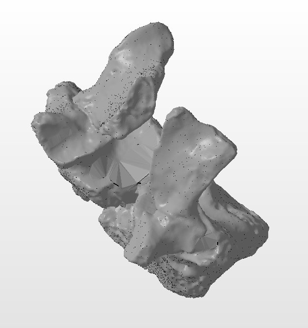 PerryNaseck's tweet photo. @Evo_Explorer @bones2bytes @Homme_inin @LeeRberger @PaleoNicole @ZCofran @Paleo_Bonegirl @FossilHistory Usually I put the model through Autodesk NetFabb (free for education) to remove the small stuff. It fills large holes roughly but properly. https://t.co/RO23nLHqRD