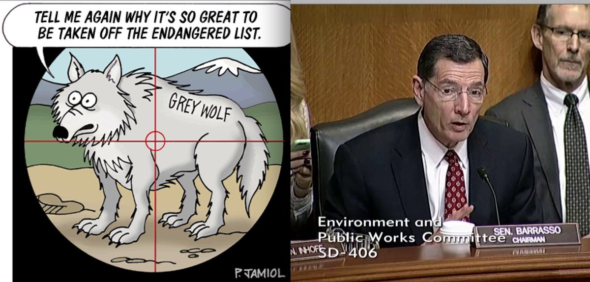 Senate Hearing: Green Groups Say Committee Moving to Gut the Endangered Species Act environews.tv/051317-senate-… via <a href="/EnviroNews/">EnviroNews</a>
