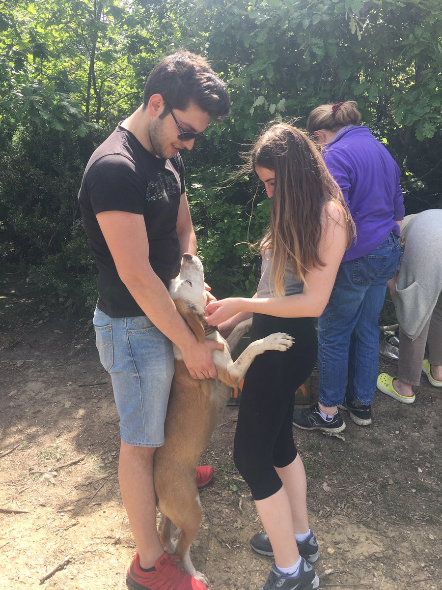 byknthyvnsvrler's tweet photo. Beykent üniversitesi hayvanseverler kulübü olarak dönemin  patili bahçe beslememizi yaklaşık 200 kilo mamamızla gerçekleştirdik 🐶😻 https://t.co/tmH7AdL9So