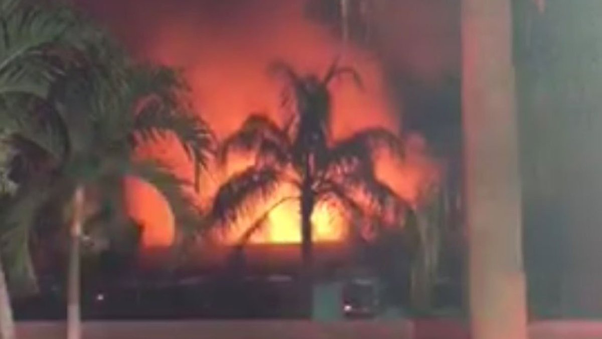 Fire kills tropical fish at Neighborhood Fish Farm in Miami-Dade bit.ly/2qexwqE https://t.co/zJDaUql7sC