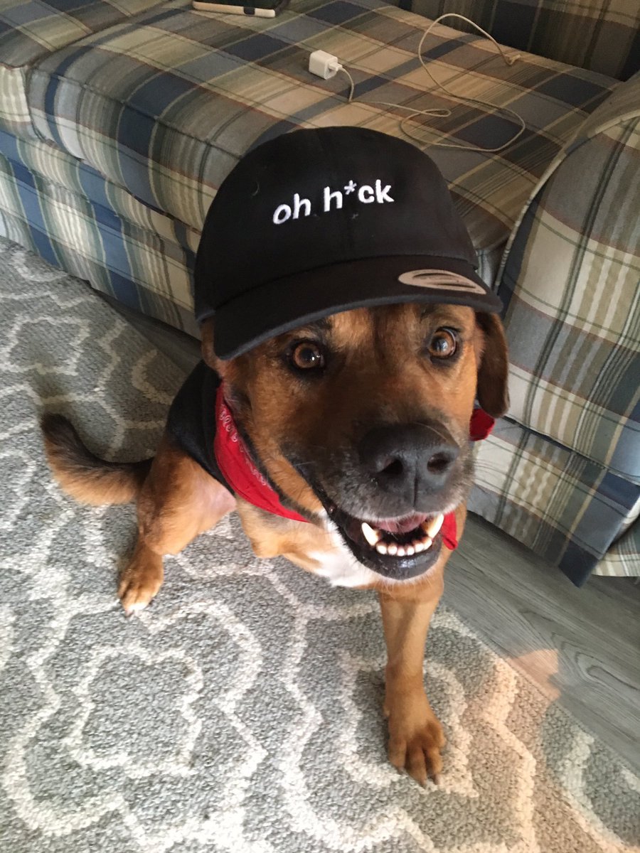 dog_rates's tweet image. Mother's Day Sale! 🐶

Use code "DOGMOM" for 10% Off

Lasts until tomorrow night! 🐕

Shop Now → weratedogs.com
