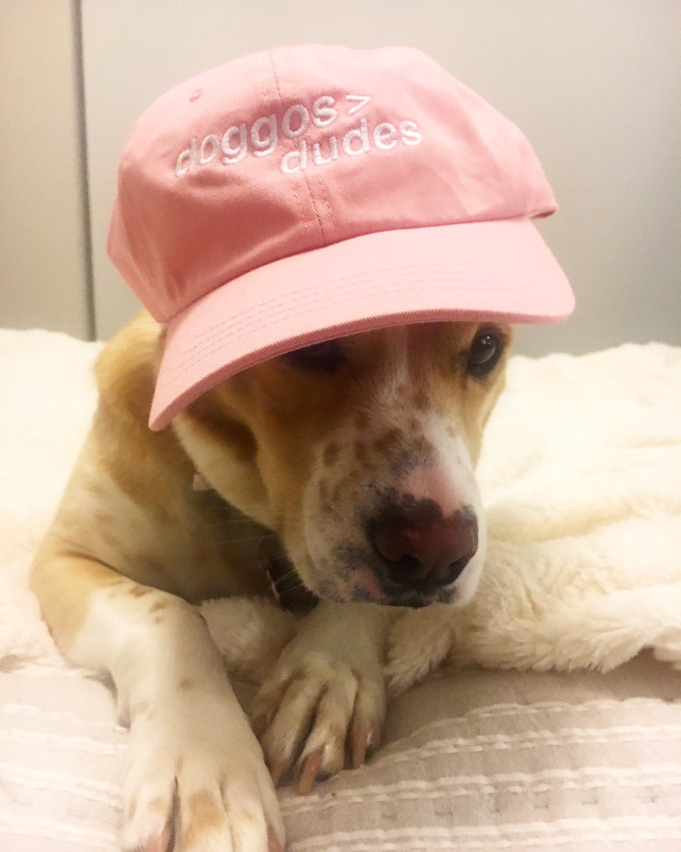 dog_rates's tweet image. Mother's Day Sale! 🐶

Use code "DOGMOM" for 10% Off

Lasts until tomorrow night! 🐕

Shop Now → weratedogs.com