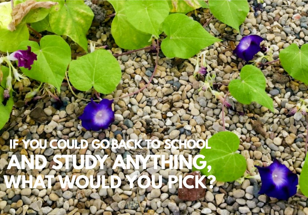 jensoltys's tweet photo. It's hard to pick just one thing! #LearnWithTGCPlus #SSPartners AD https://t.co/5cQFDOoLtv https://t.co/iZJCUorCXy