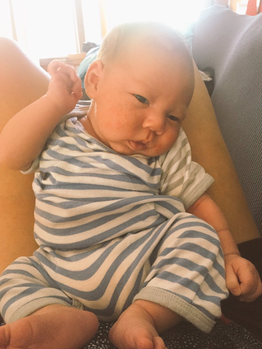 Christina Reuter tweet media