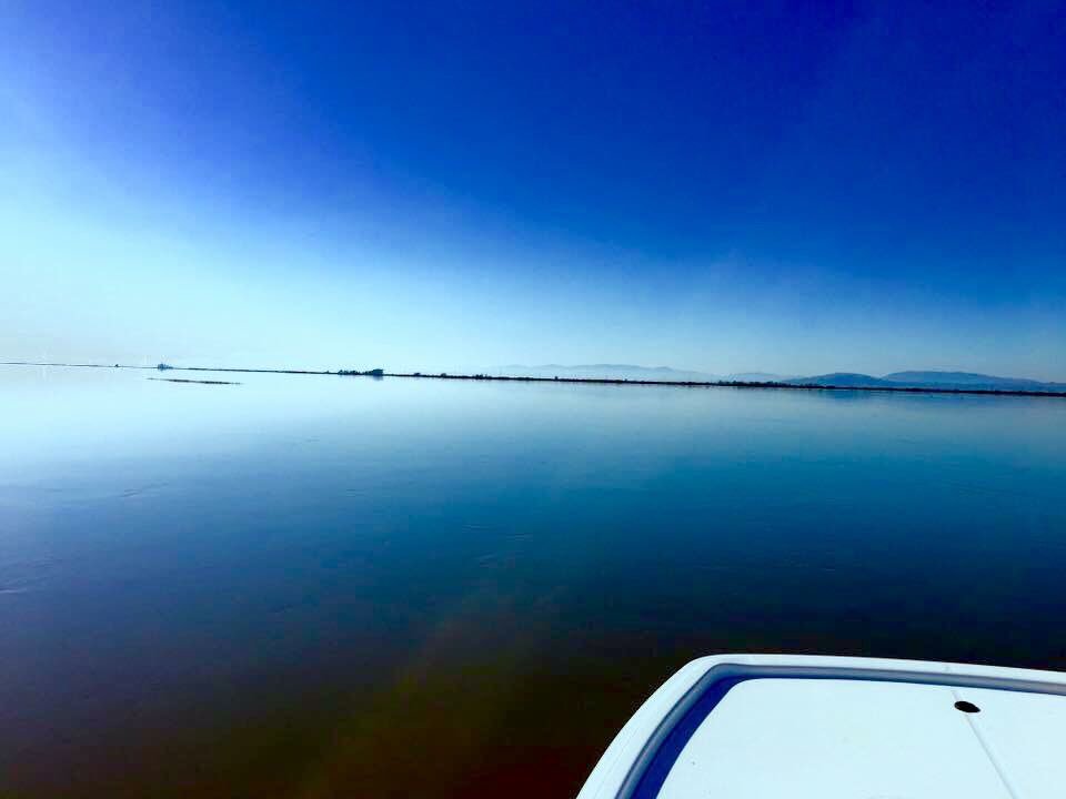 Book your guided Napa River Wetlands scenic tour or San Francisco Bay Area fishing Charters. #NapaValley #NapaRiver