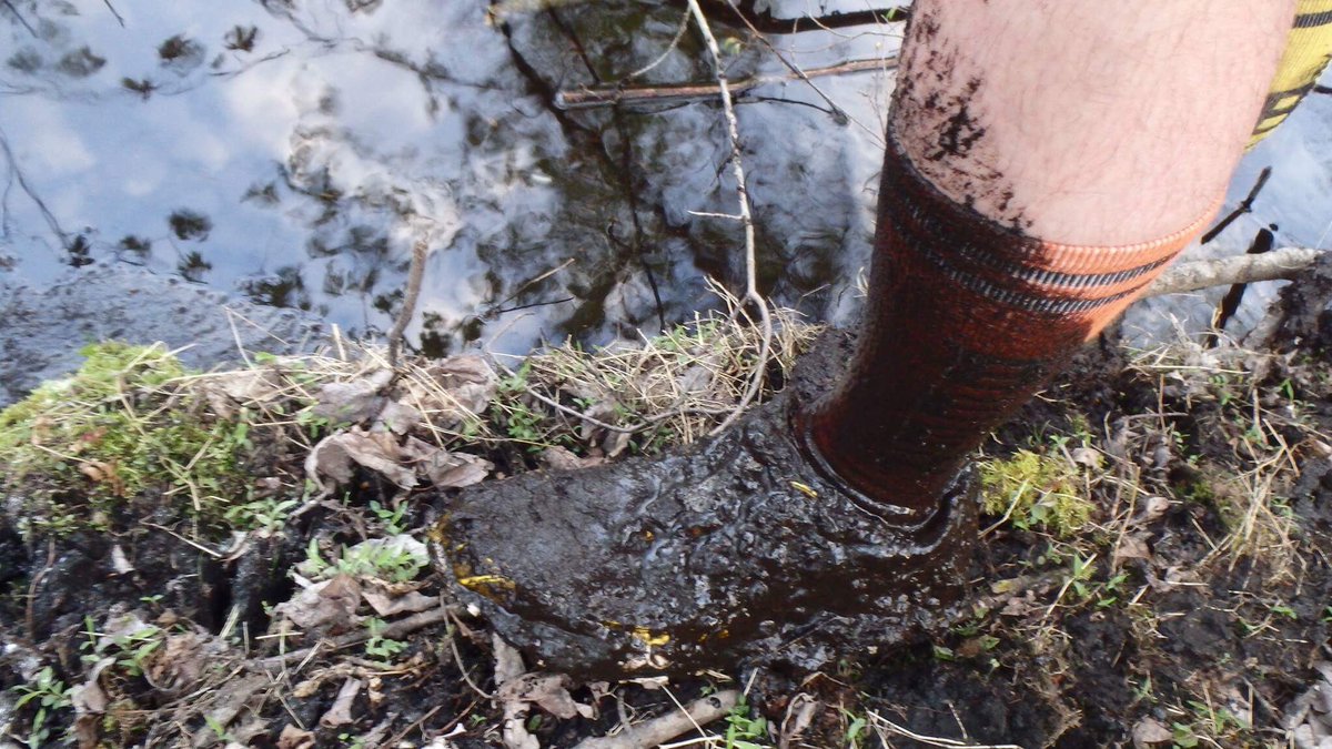 GaryDavidsonRun's tweet photo. Sign of a great trail run! #mud #mudrun #trail #trailrunning #run #running #DBR #dirtbagrunners #runfreegetdirty https://t.co/g8vAB3pHpD