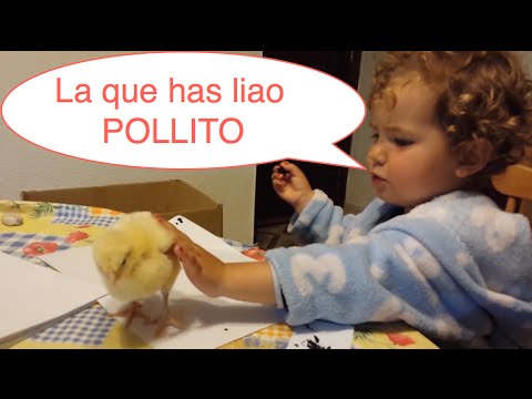 Ver imagen en Twitter