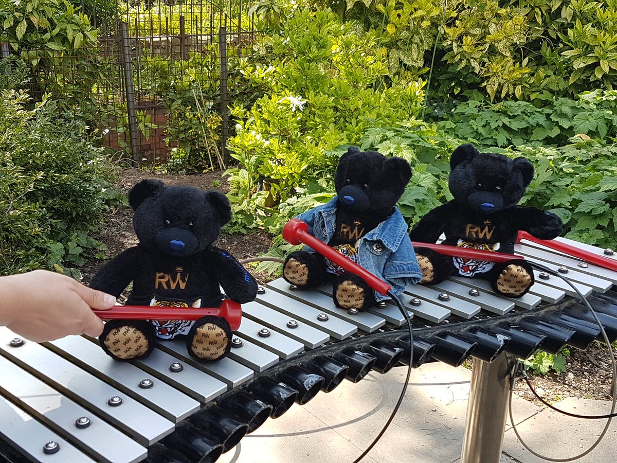 MrBoJanglesxx's tweet image. A Musical Interlude @Robbear40 @Bongo_bear74