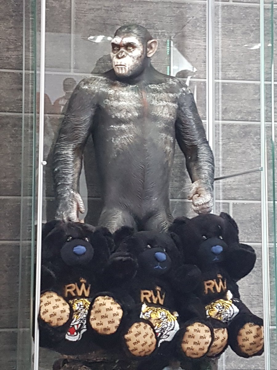 MrBoJanglesxx's tweet image. Us and the monkey @Robbear40 @Bongo_bear74