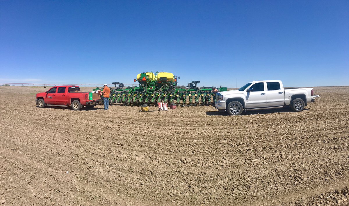 BablSeednTreat's tweet image. Put in a @ProducersHybrid plot in between Albion and Cedar Rapids, NE. #plant17 #testplot #ready4more #letitgrow