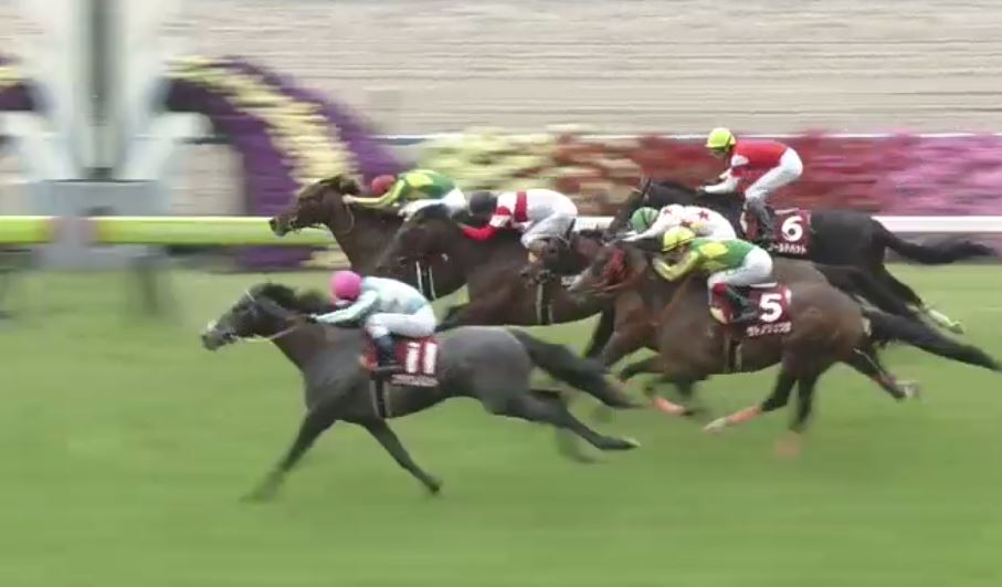 LongBallToNoOne's tweet photo. Three consecutive Group 1 / Group 2 JRA races won by grays. 
2 of them on heavy tracks. 
#PlatinumBullet #Aerolithe #RedFalx https://t.co/4iTVSETBbH