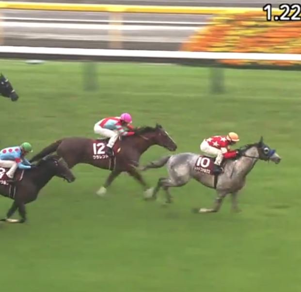 LongBallToNoOne's tweet photo. Three consecutive Group 1 / Group 2 JRA races won by grays. 
2 of them on heavy tracks. 
#PlatinumBullet #Aerolithe #RedFalx https://t.co/4iTVSETBbH