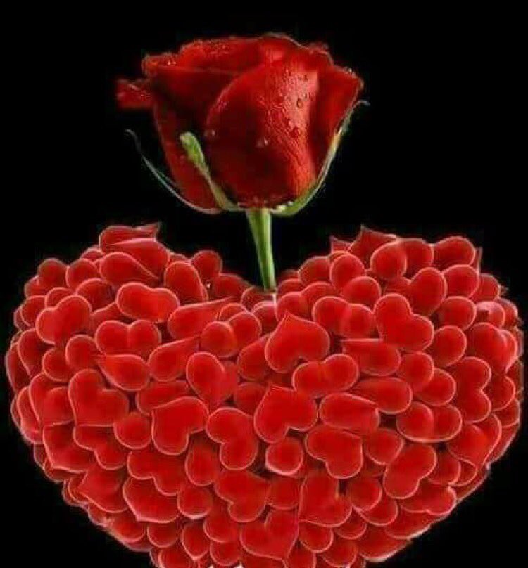 ماء في أحضان النبيذ (@majic_00) on Twitter photo 